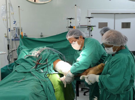 Banner cirurgiasascom