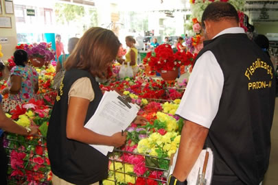 Thumb procon-fiscaliza