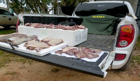 thumb carne-de-caça-2