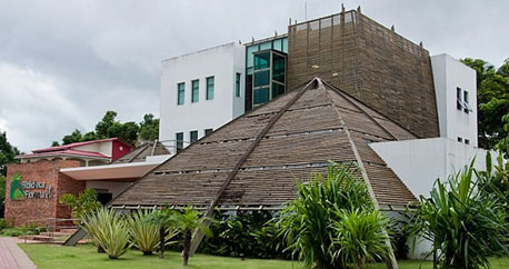 thumb bibliotecaFloresta1