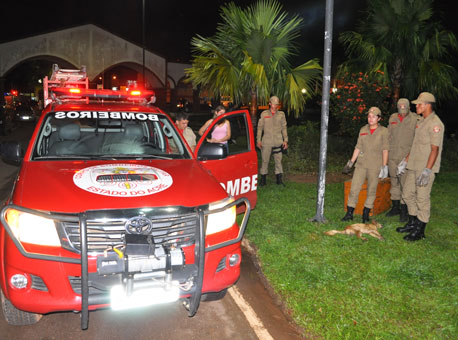 Banner BombeirosCanal