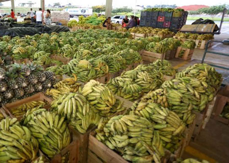 thumb ceasa fotospmrb