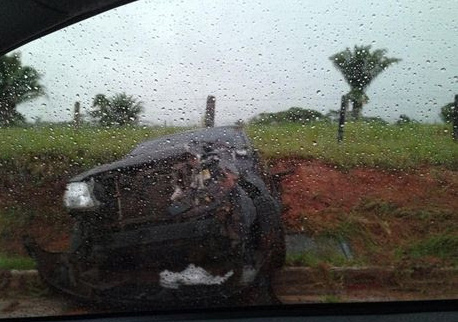 thumb quinaricapotagem