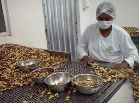 Banner CastanhaAltoAcre