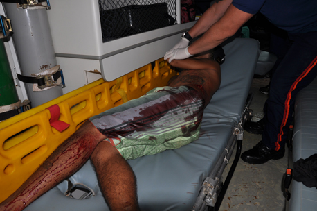 thumb Cortepalmeiras