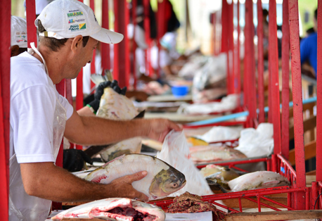 thumb Feira-do-Peixe-Fotos-Assis-Lima--12