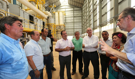 thumb ministro rossette