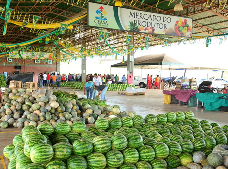 Banner Pequeno-produtor