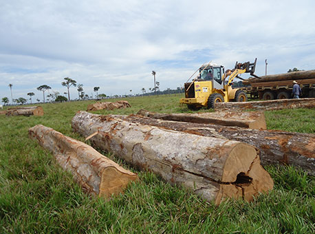 Banner-blitzcaqueta3