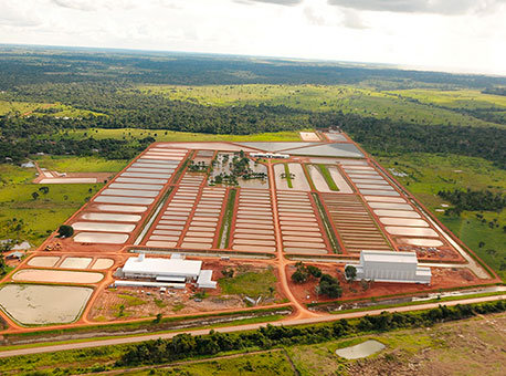 Banner-compexodepisciculturaunienergia