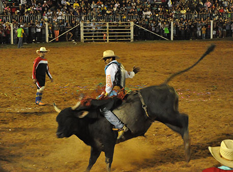 Banner-primeiranoitebarretos1