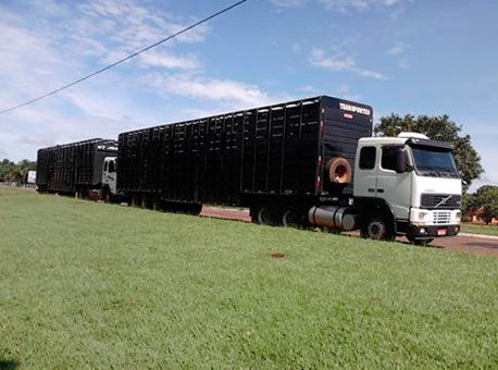 Banner-transportedegado