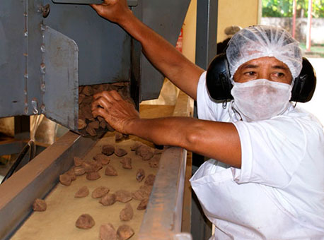 1908-cotidiano-castanha