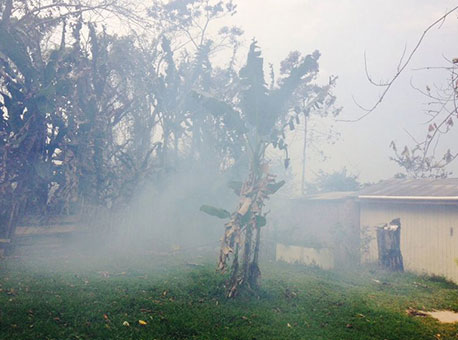 2608-cotidiano-incendioirineuserra