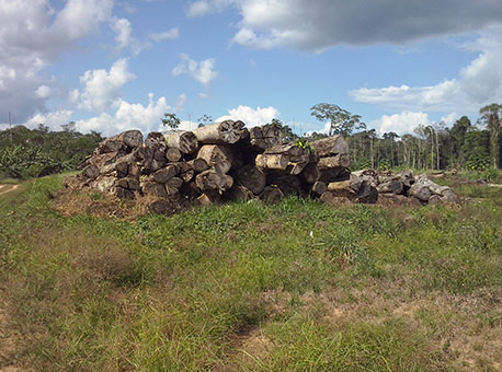 2608-cotidiano-madeiraantimary