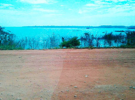 Banner-1308-cotidiano-br364