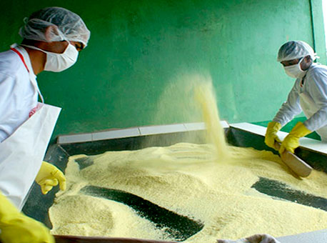 0909-cotidiano-producaofarinha