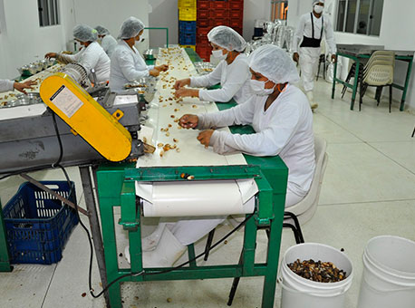 2409-cotidiano-crescimentioacisa-divulgacao