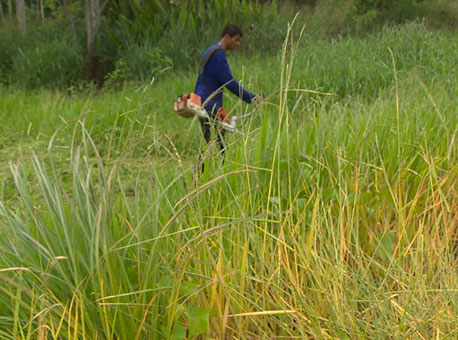 0312-cotidiano-agrotoxico-tvgazeta