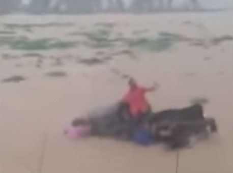 150115-cotidiano-resgatemadeira-cedida