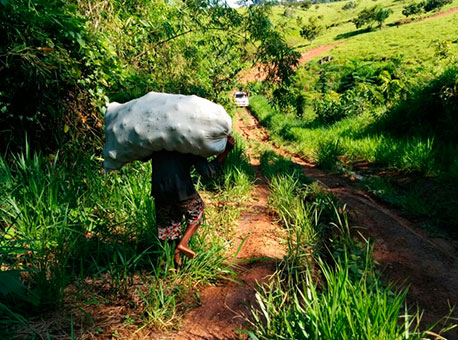 200115-cotidiano-ramalintrafegacel-tresdejulho