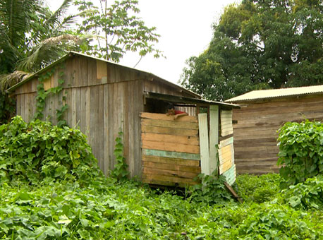 270115-cotidiano-casaspapoco-tvgazeta2