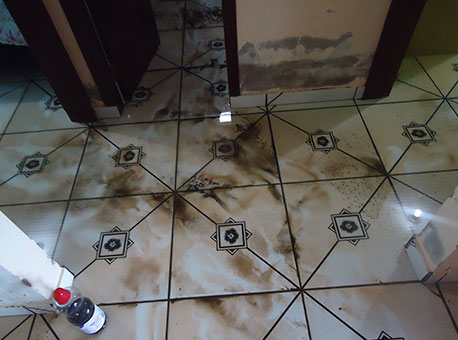 100215-cotidiano-esgotonacasa-cedida