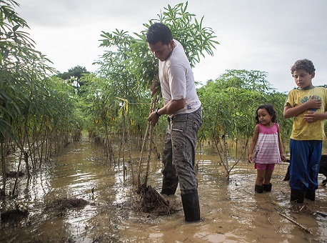 050315-cotidiano-areasrurais