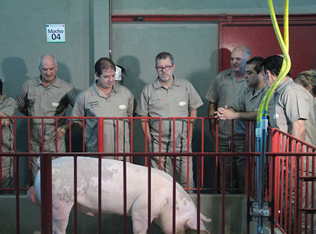 200315-cotidiano-domporquito-oaltoacre