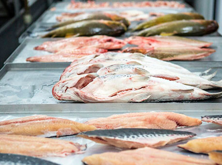 260315-cotidiano-peixesdaamazonia-agencia2