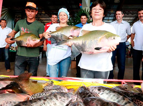 040415-cotidiano-feiradopeixe-marcusvicentti