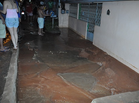 250415-cotidiano-canoestourado2