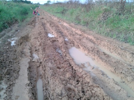 270415-cotidiano-ramal-lama