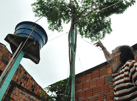 050515-cotidiano-macaxeira-cleriston2