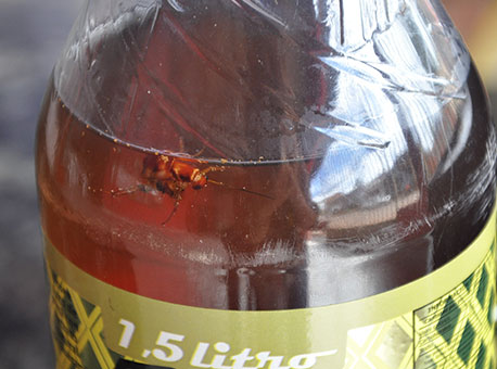 070515-cotidiano-lib-taianelima2