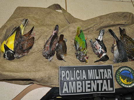 200515-policia-crimeambiental-cleriston
