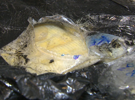 010615-policia-droga-tvgazeta2