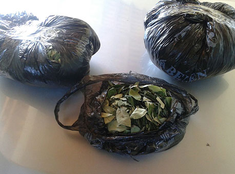 190615-policia-folhadecoca-cedida