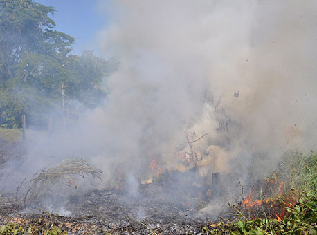 240615-cotidiano-queimada-cleriston2