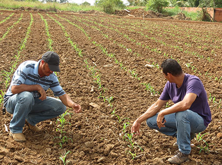 290615-cotidiano-fazendinhaexpoacre-agenciadenoticiasdoacre
