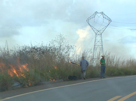 170715-cotidiano-flagrantequeimada-tvgazeta