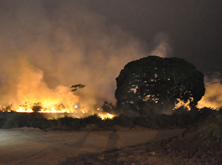 170715-cotidiano-queimada-cleriston
