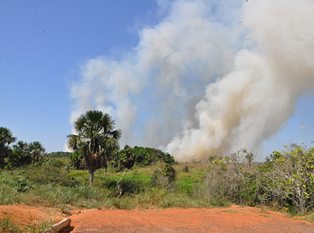 210715-cotidiano-incendiosflorestais-cleriston2