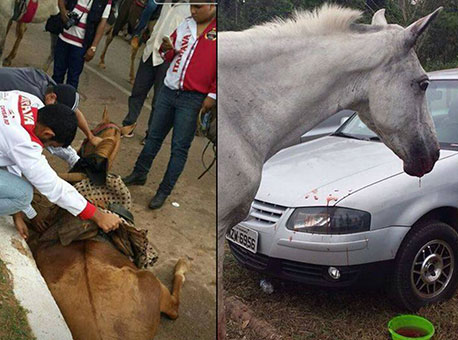 240715-cotidiano-maustratos