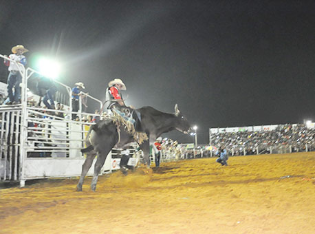 290715-cotidiano-finalrodeio-cleriston