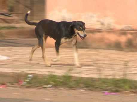 030815-cotidiano-campanhacontraraiva-tvgazeta