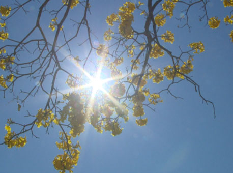 070815-cotidiano-calor-tvgazeta