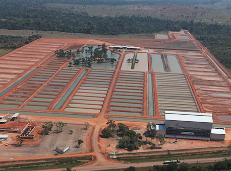 200815-cotidiano-peixesdaamazonia-agenciadenoticias