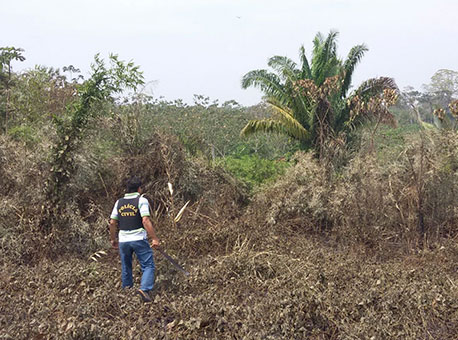 200815-policia-assassinatomacabro-cedida
