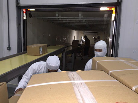 260815-cotidiano-peixesdaamazonia-cedida